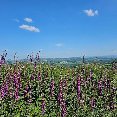 Summit Camping Kit Hill Cornwall Panoramic Views Grass Pitch From 15Pn Or Bella Bell Tent 75Pn Callington Eksteriør bilde