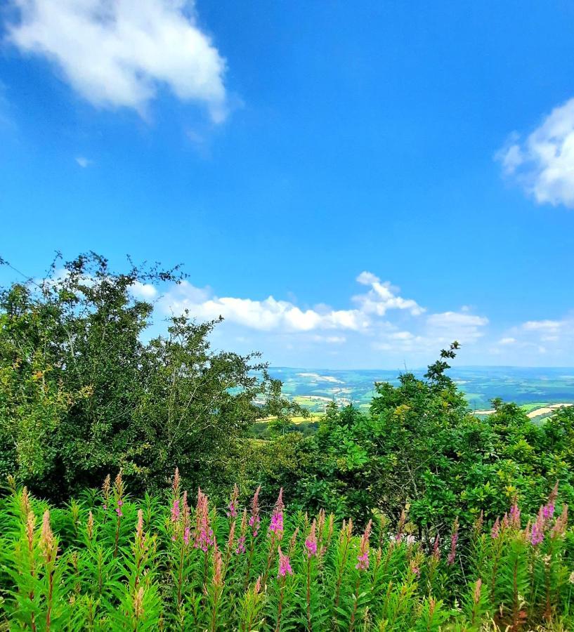 Summit Camping Kit Hill Cornwall Panoramic Views Grass Pitch From 15Pn Or Bella Bell Tent 75Pn Callington Eksteriør bilde