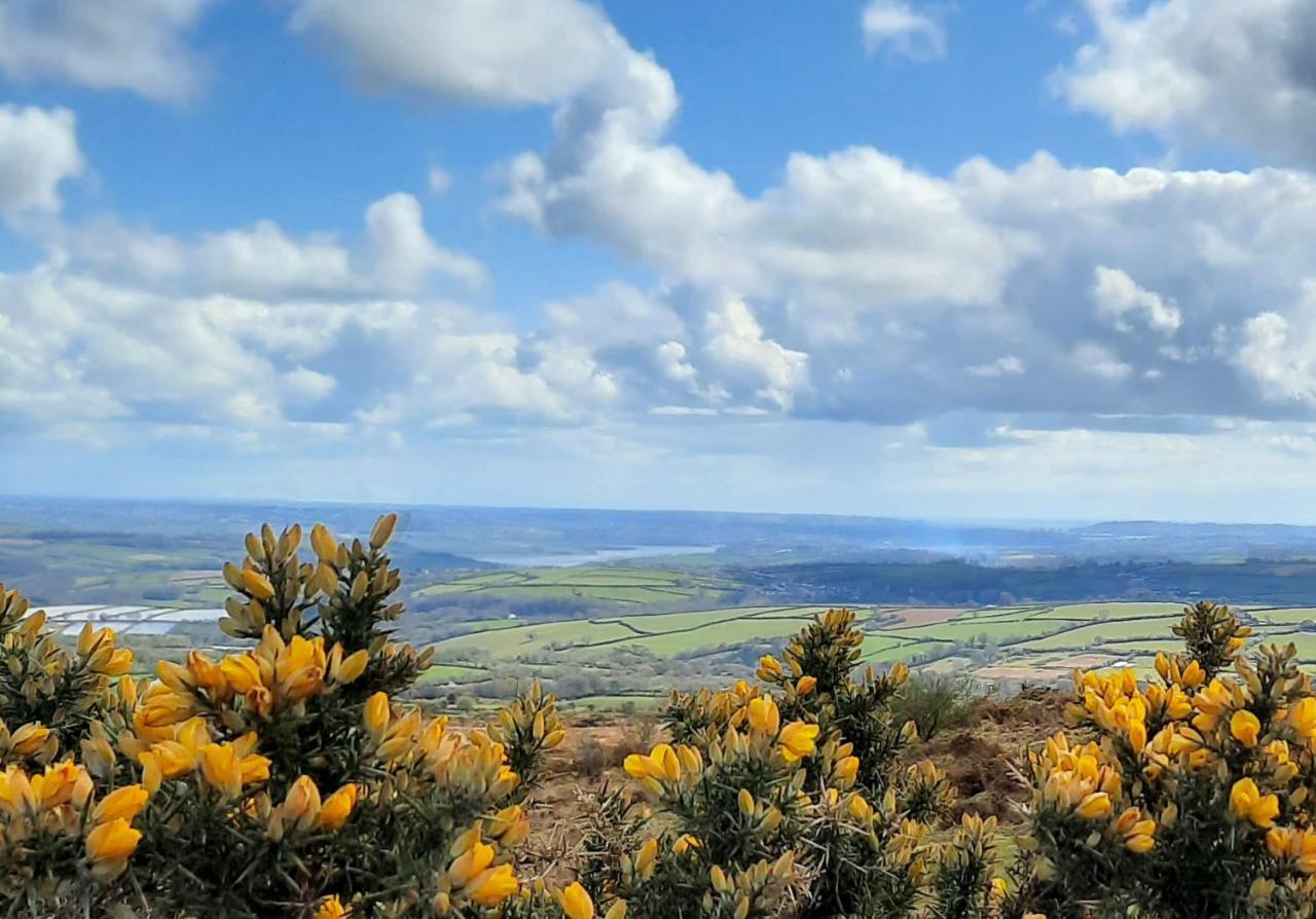 Summit Camping Kit Hill Cornwall Panoramic Views Grass Pitch From 15Pn Or Bella Bell Tent 75Pn Callington Eksteriør bilde