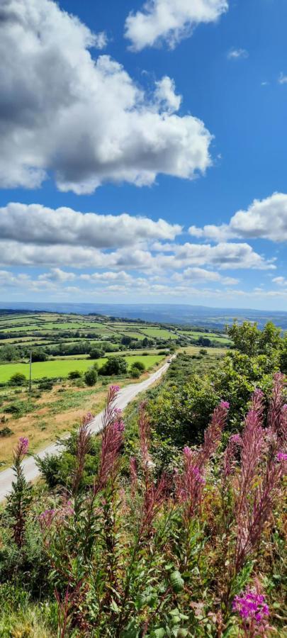 Summit Camping Kit Hill Cornwall Panoramic Views Grass Pitch From 15Pn Or Bella Bell Tent 75Pn Callington Eksteriør bilde